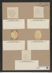 Coscinodiscus subconcavus Grun. (de-Toni-Nr.: Genus 202, Species 4885) Zeichnungen Sammlung Grunow Nr. 8645 (NHMW-BOT-W0378045)